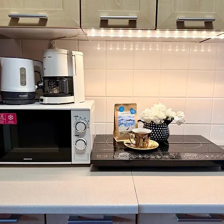 Al-dom Awangardia 434, 300m Do Plazy W Dzielnicy Uzdrowiskowej Διαμέρισμα *